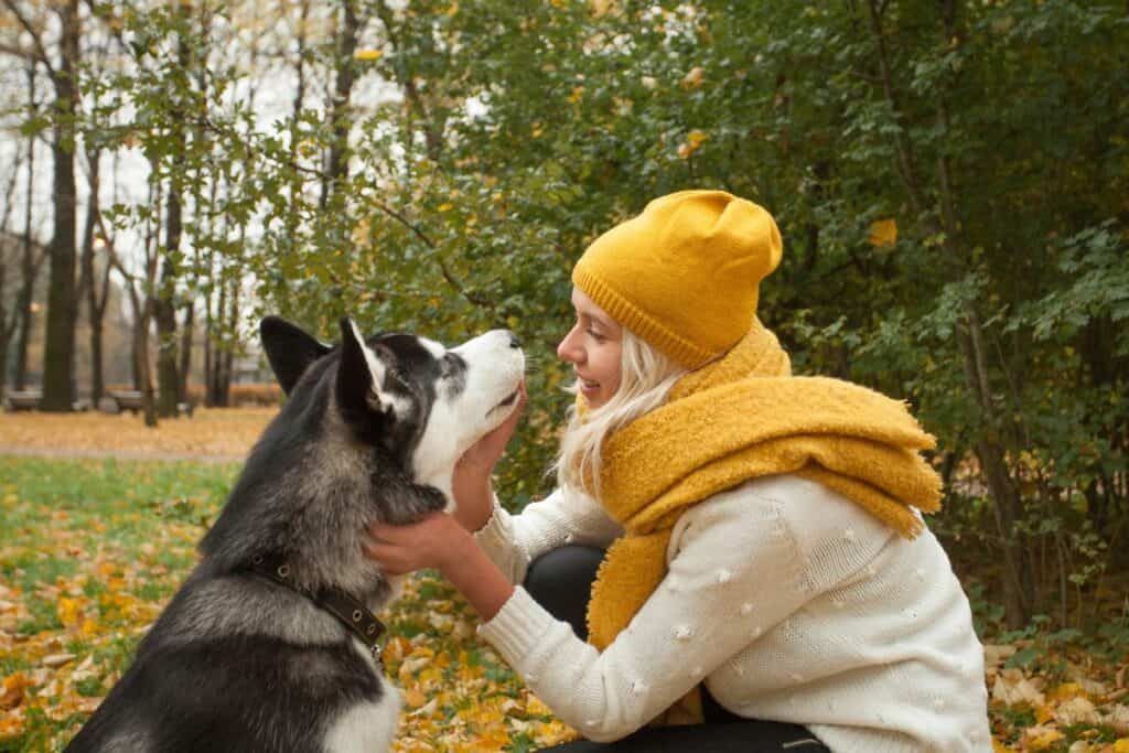 Husky dog greeting lady