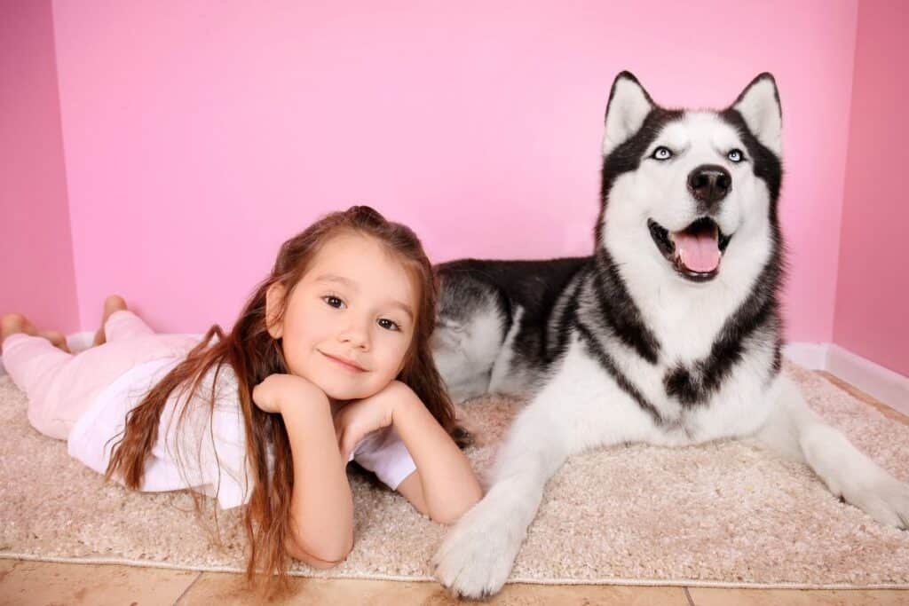 Cute girl with her husky dog on carpet