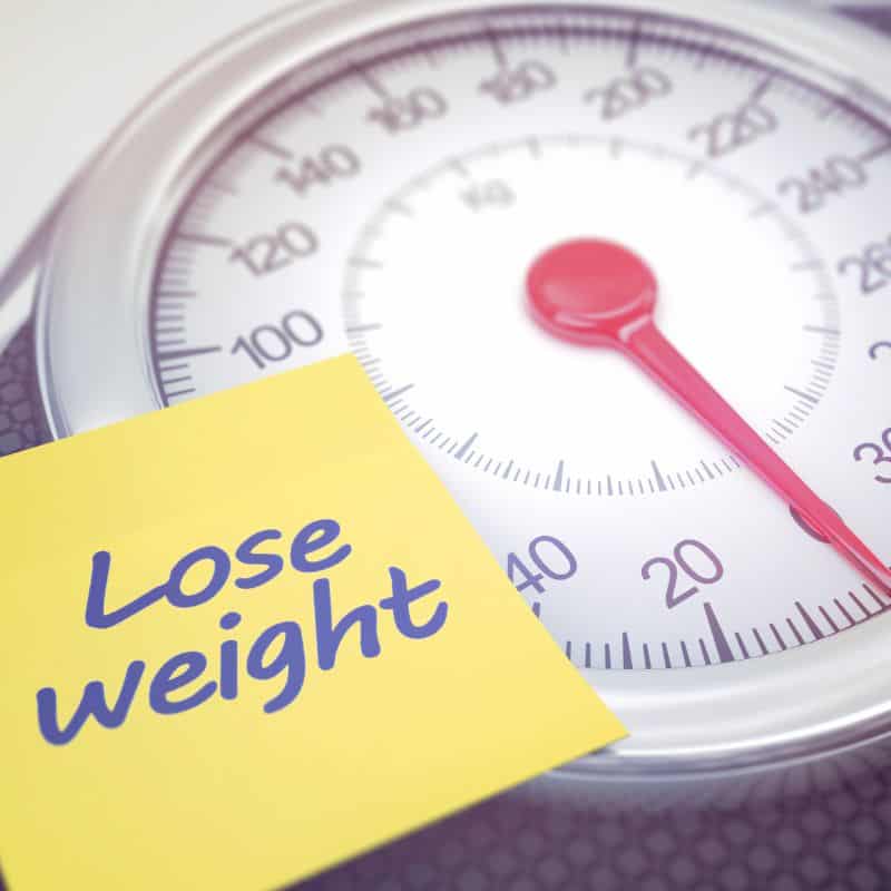 weight scale